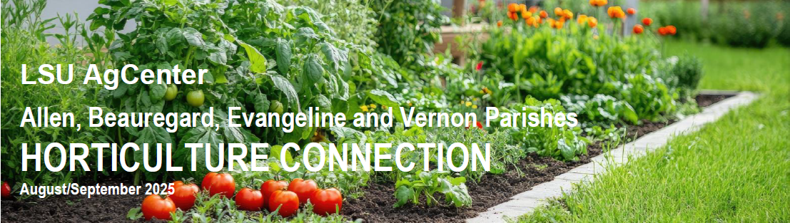 Horticulture Connection - August/September 2025